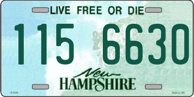 NH license plate 1156630