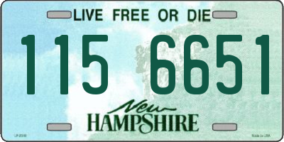 NH license plate 1156651