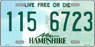 NH license plate 1156723