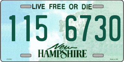 NH license plate 1156730