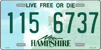 NH license plate 1156737