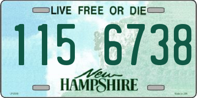 NH license plate 1156738