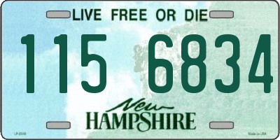 NH license plate 1156834