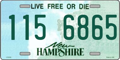 NH license plate 1156865