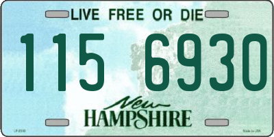 NH license plate 1156930