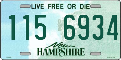 NH license plate 1156934