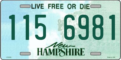 NH license plate 1156981