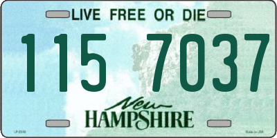 NH license plate 1157037