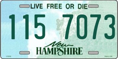 NH license plate 1157073