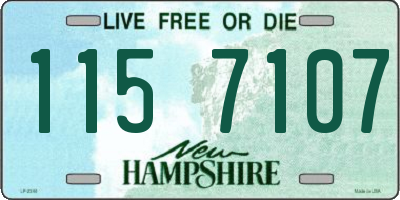 NH license plate 1157107