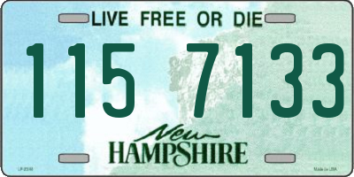 NH license plate 1157133