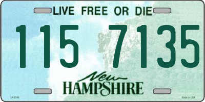 NH license plate 1157135
