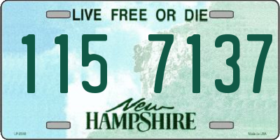 NH license plate 1157137