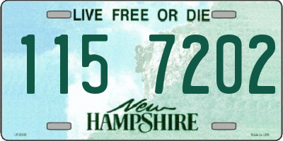 NH license plate 1157202