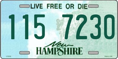 NH license plate 1157230