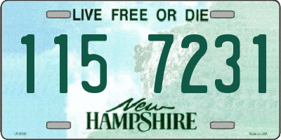 NH license plate 1157231