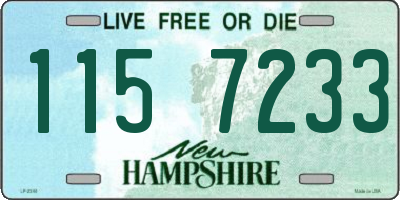 NH license plate 1157233