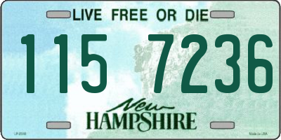NH license plate 1157236