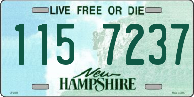 NH license plate 1157237