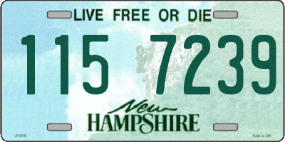 NH license plate 1157239