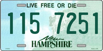 NH license plate 1157251