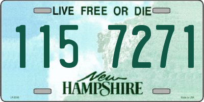 NH license plate 1157271