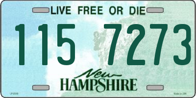 NH license plate 1157273