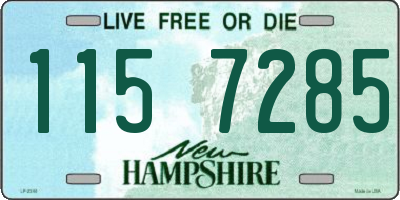 NH license plate 1157285
