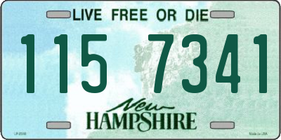 NH license plate 1157341