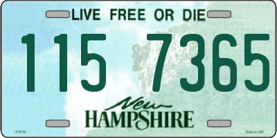 NH license plate 1157365