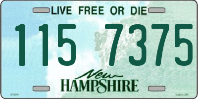NH license plate 1157375