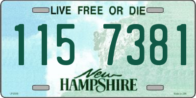 NH license plate 1157381