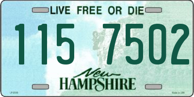 NH license plate 1157502