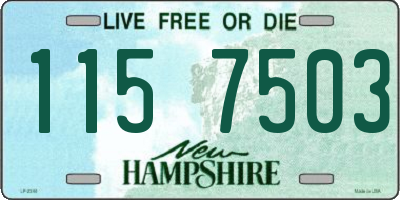 NH license plate 1157503