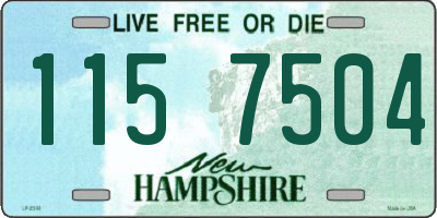 NH license plate 1157504