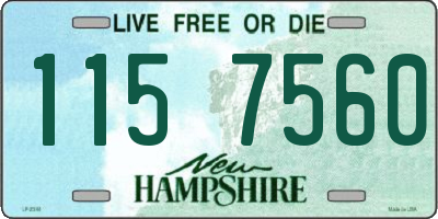 NH license plate 1157560