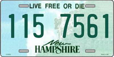 NH license plate 1157561
