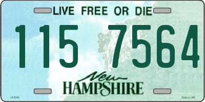 NH license plate 1157564