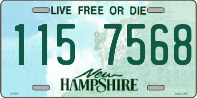 NH license plate 1157568