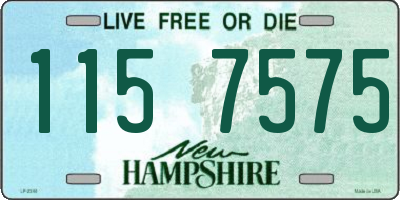 NH license plate 1157575