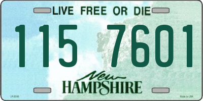 NH license plate 1157601