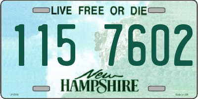 NH license plate 1157602