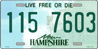 NH license plate 1157603