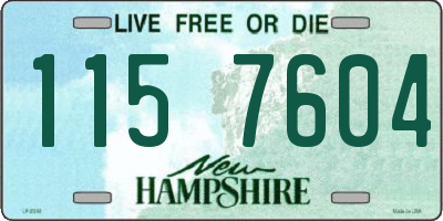 NH license plate 1157604