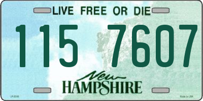 NH license plate 1157607