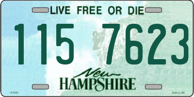 NH license plate 1157623