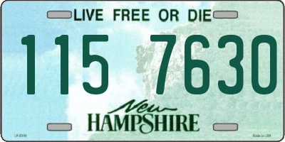 NH license plate 1157630