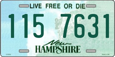 NH license plate 1157631
