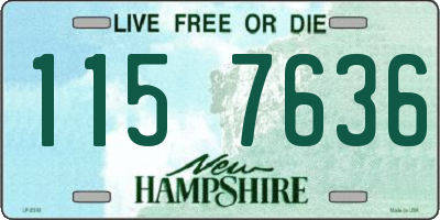 NH license plate 1157636