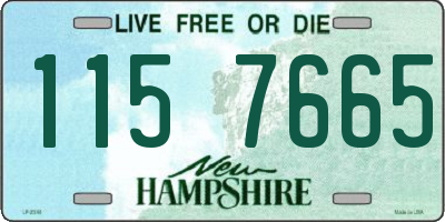 NH license plate 1157665